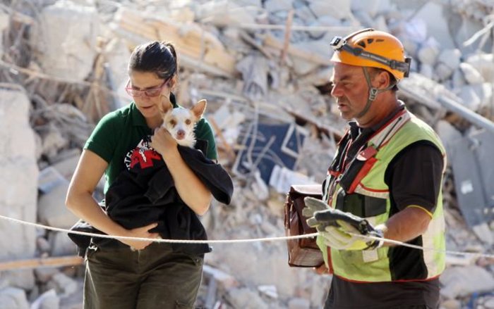 Η συγκλονιστική ιστορία της διάσωσης ενός σκύλου