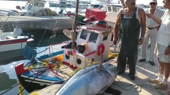 Καλή ψαριά: Έπιασε τόνο 220 κιλών στην Κεφαλονιά