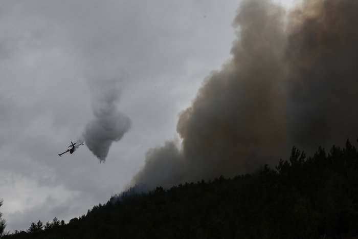 Θάσος: Μάχη με τις φλόγες και το χρόνο πριν πέσει το σκοτάδι - εικόνα 4