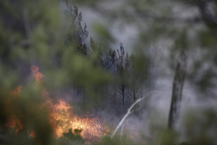 Θάσος: Μάχη με τις φλόγες και το χρόνο πριν πέσει το σκοτάδι - εικόνα 6