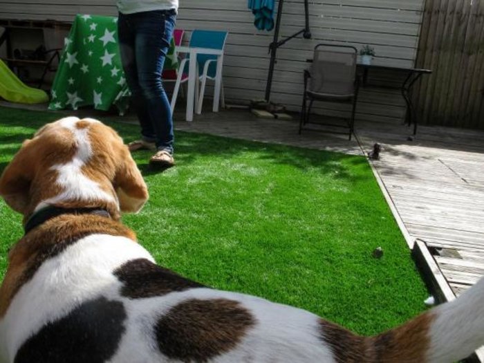 Picture: Stan/JonesMrJones.co.uk