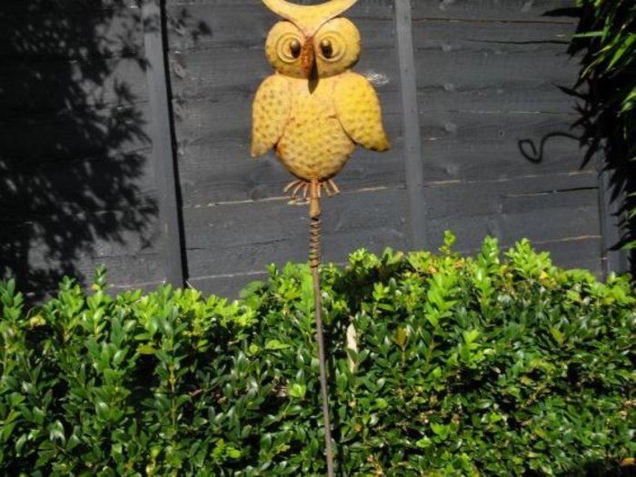 Picture: Stan/JonesMrJones.co.uk