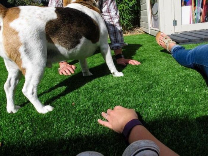 Picture: Stan/JonesMrJones.co.uk