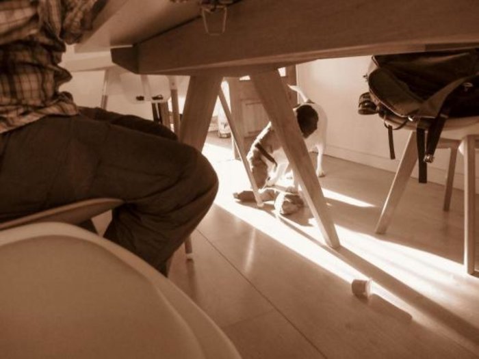 Picture: Stan/JonesMrJones.co.uk