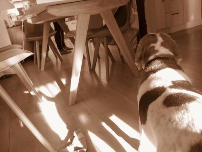 Picture: Stan/JonesMrJones.co.uk