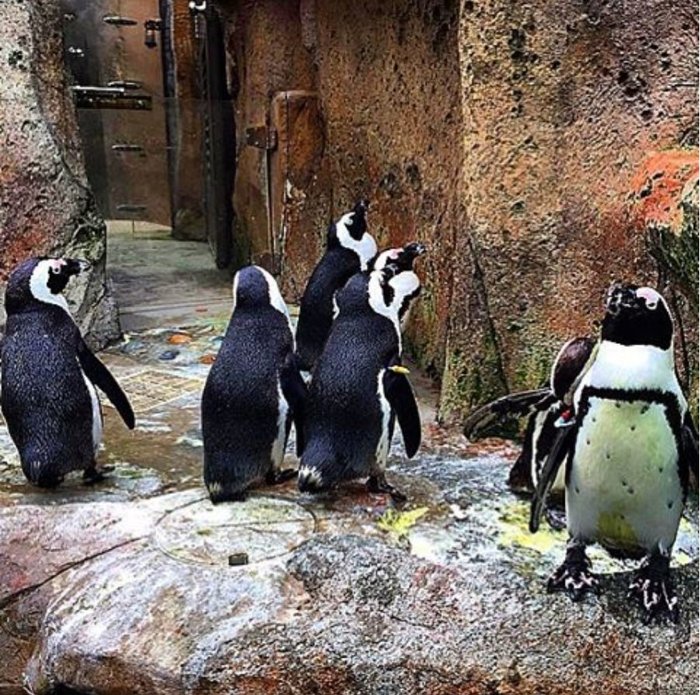 Βανδή - Μαρτάκης μαγεύτηκαν από τους καταρράκτες του Νιαγάρα [Εικόνες] - εικόνα 15