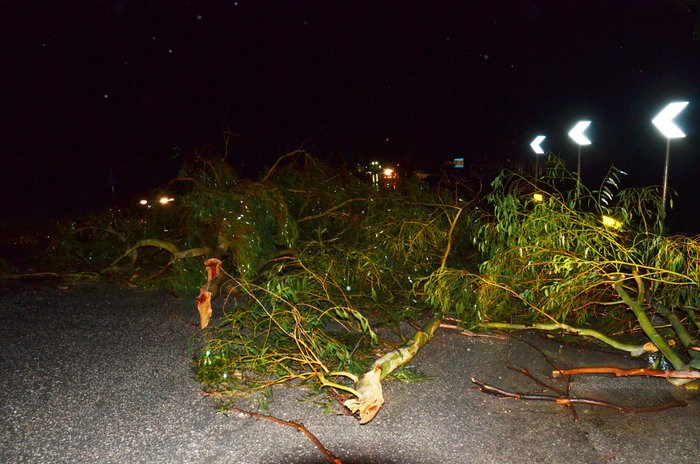 Χάος στην Αγρολίδα με πτώσεις δέντρων και πλημμύρες