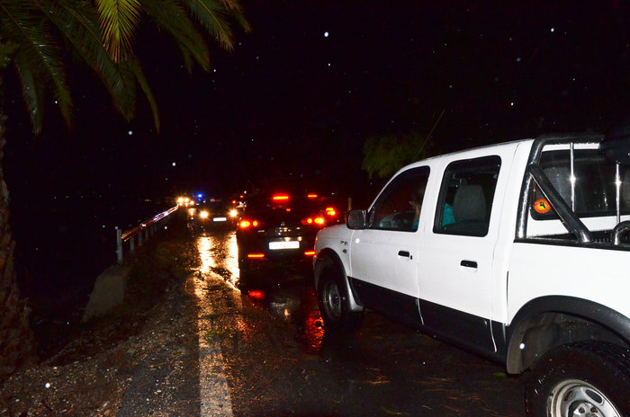 Χάος στην Αγρολίδα με πτώσεις δέντρων και πλημμύρες - εικόνα 2