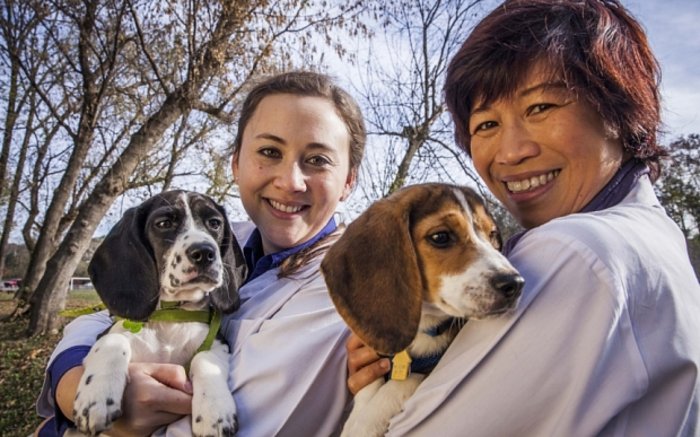 Δείτε τα πρώτα κουτάβια του σωλήνα!