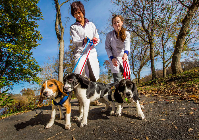 Δείτε τα πρώτα κουτάβια του σωλήνα! - εικόνα 3