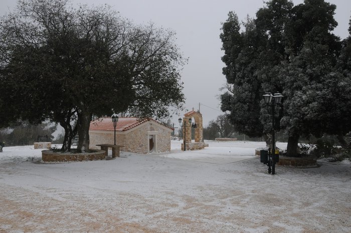 Δείτε φωτογραφίες από την Πάρνηθα που ντύθηκε στα λευκά!