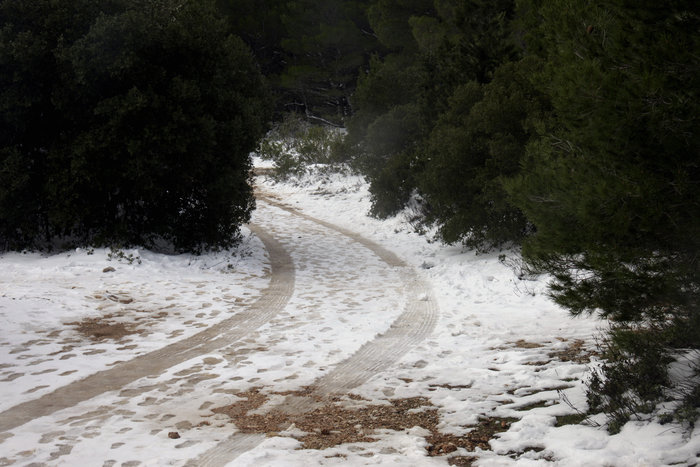 Δείτε φωτογραφίες από την Πάρνηθα που ντύθηκε στα λευκά! - εικόνα 4