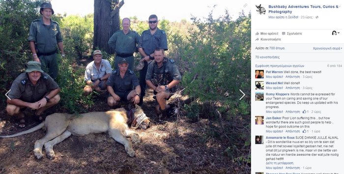 Πως οι τουρίστες έσωσαν ένα λιοντάρι στη Ν. Αφρική