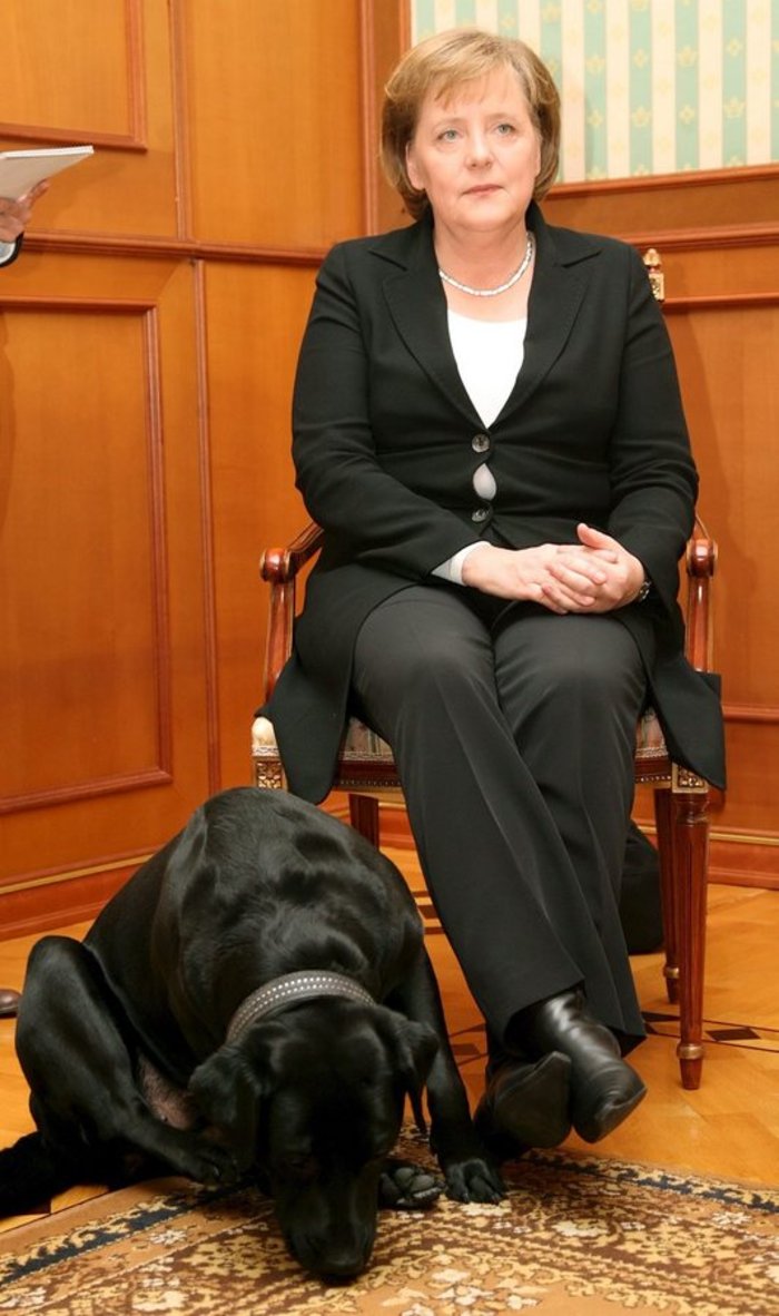 Το «μαρτύριο» της Μέρκελ με το μαύρο σκύλο του Πούτιν  - φωτό - εικόνα 3