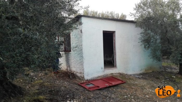 Πώς έδωσε τέλος η ΕΛΑΣ στην «αρπαγή» του μικρού Φοίβου