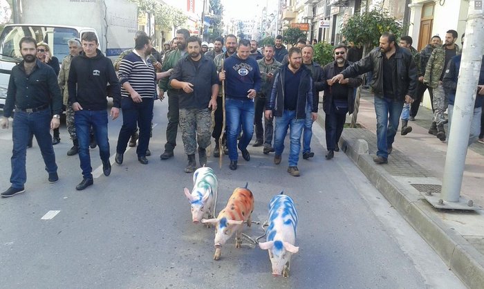 Αγρότες στο Ρέθυμνο έβαλαν γουρούνια να ζητήσουν...ψήφους  [φωτο - βίντεο]
