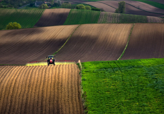 Τα λιβάδια της Ευρώπης μας βάζουν σε ανοιξιάτικους ρυθμούς - εικόνα 3