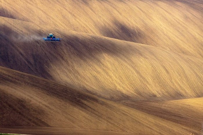 Τα λιβάδια της Ευρώπης μας βάζουν σε ανοιξιάτικους ρυθμούς - εικόνα 9