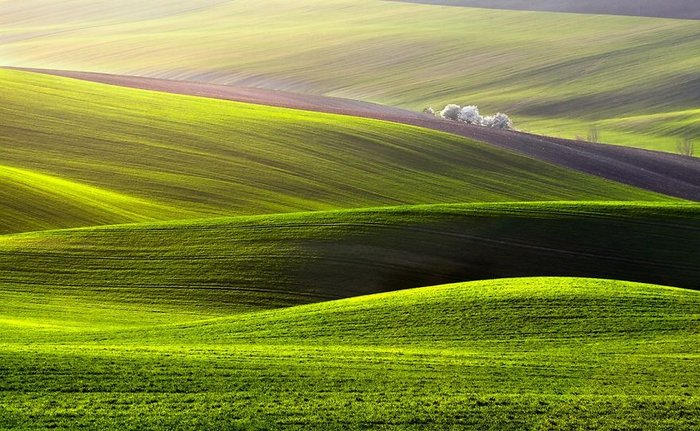 Τα λιβάδια της Ευρώπης μας βάζουν σε ανοιξιάτικους ρυθμούς - εικόνα 12