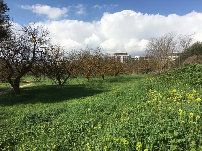 Αλσος Συγγρού: Μια όαση σε απόσταση αναπνοής από το κέντρο της Αθήνας - εικόνα 13