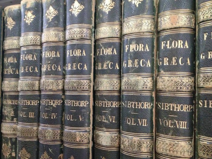 Flora Graeca: Σπάνιο αριστούργημα βοτανολογίας στη Γεννάδειο