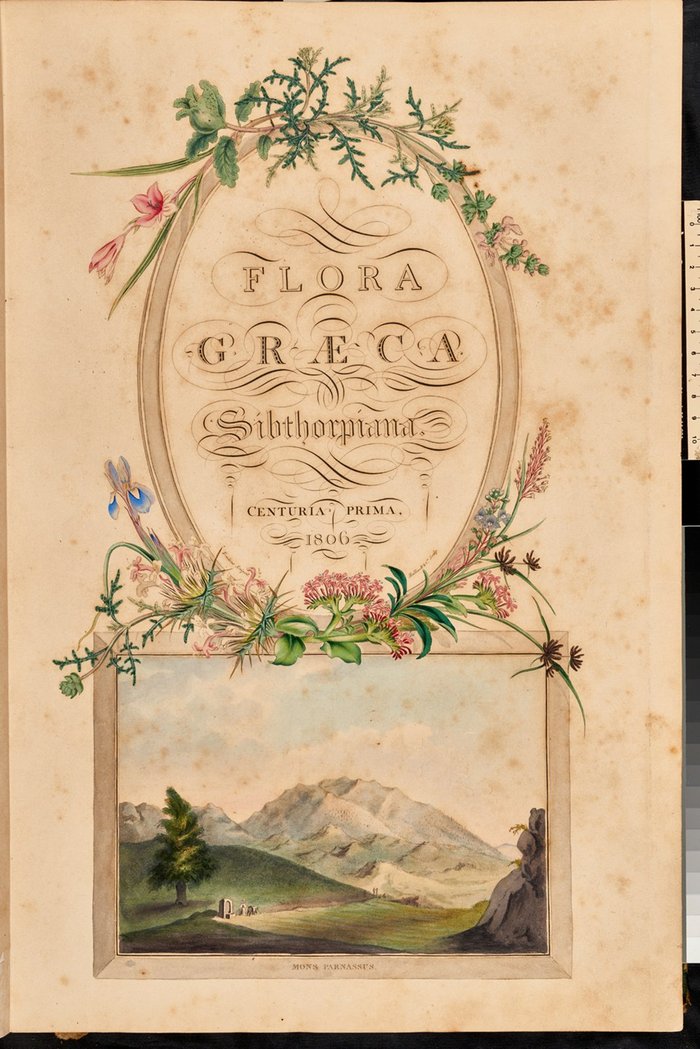 Σελίδα τίτλου του α' τόμου της Flora Graeca. Απεικονίζεται ο Παρνασσός.