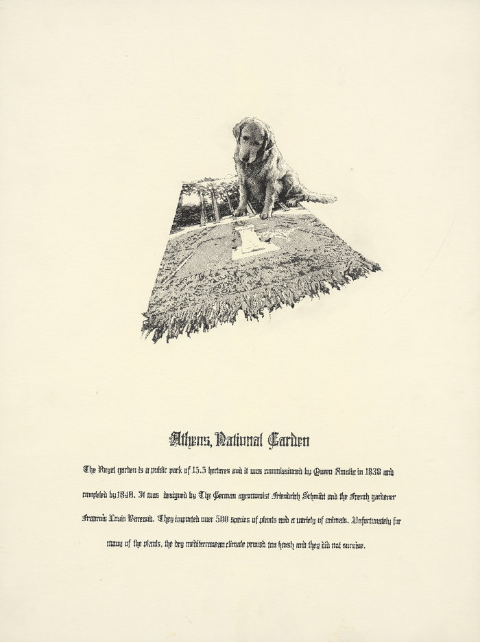 Οι ολάνθιστοι "κάτοικοι της πόλης" σε μια έκθεση - εικόνα 3