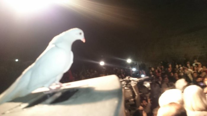 Ελληνοκύπριοι και Τουρκοκύπριοι σε κοινή εκδήλωση για λύση του Κυπριακού - εικόνα 4