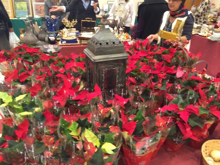 Το μεγάλο ραντεβού στο Ζάππειο για τη στήριξη της «Μέριμνας»