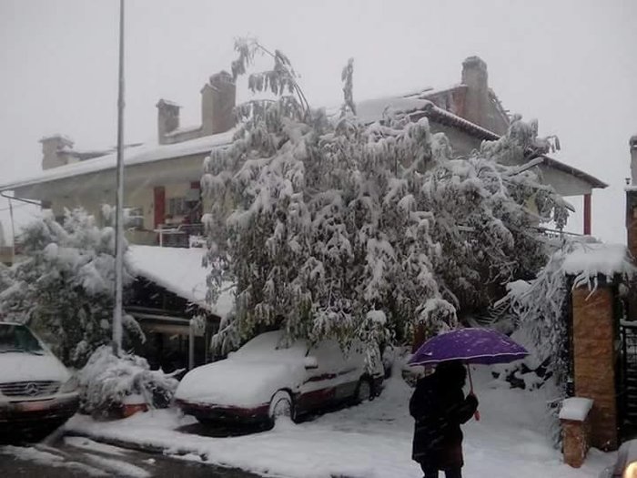 Στα λευκά η χώρα, ισχυροί άνεμοι και πολικό ψύχος [ΕΙΚΟΝΕΣ] - εικόνα 7