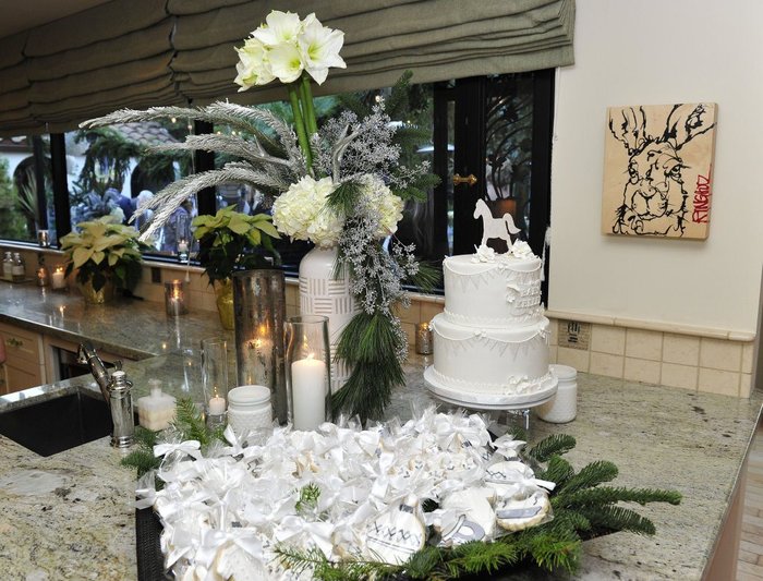 Το παραμυθένιο χριστουγεννιάτικο baby shower της Κάθριν Χέιγκλ - εικόνα 6