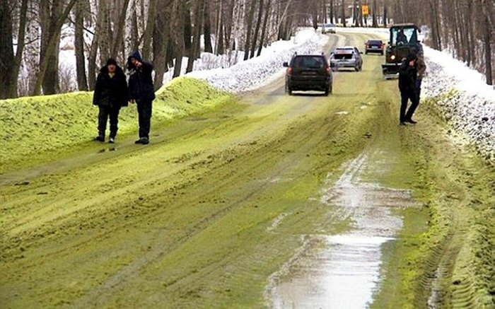 Σε ποια περιοχή το χιόνι βάφτηκε πράσινο και σε τι οφείλεται;