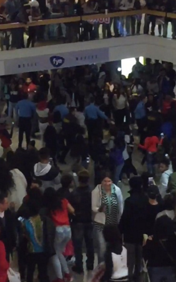Φρενίτιδα στα αμερικανικά Mall: Χάος, ξύλο και συλλήψεις - εικόνα 6