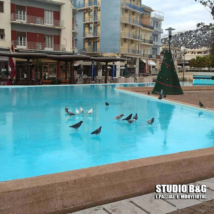 Τα περιστέρια κάνουν ...πατινάζ στη λιμνούλα του Άργους [Βίντεο]