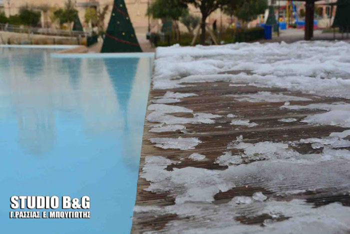 Τα περιστέρια κάνουν ...πατινάζ στη λιμνούλα του Άργους [Βίντεο] - εικόνα 3