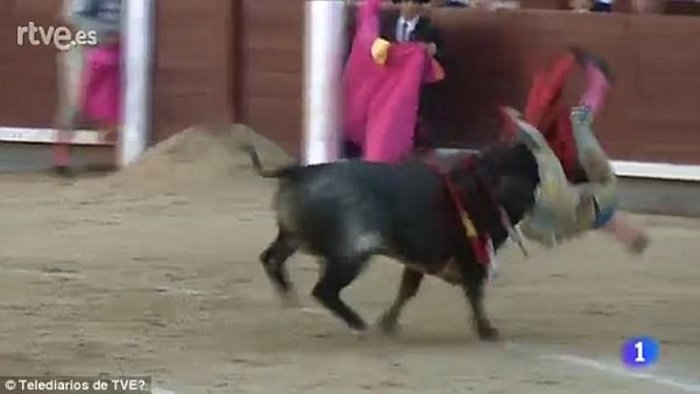 Δίνει μάχη για τη ζωή στον πρώτο του αγώνα σε μεγάλη αρένα (ΣΚΛΗΡΟ ΒΙΝΤΕΟ) - εικόνα 2