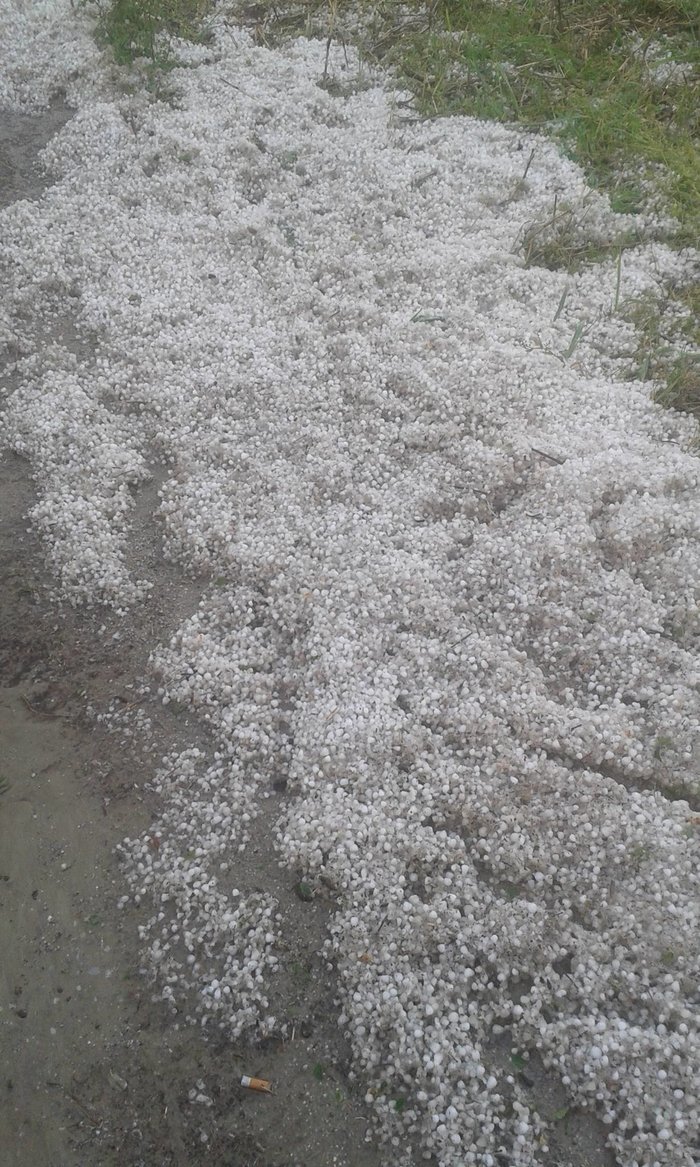 Χαλάζι στο μέγεθος φουντουκιού έπεσε στην Κοζάνη  φωτο & video