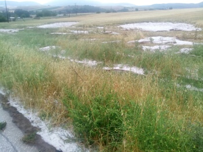 Χιονισμένο… τοπίο τα Φάρσαλα από το χαλάζι που έπεσε - εικόνα 2