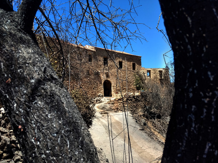 Νέα πύρινα μέτωπα σε όλη τη χώρα - Αρχισε η καταγραφή των ζημιών - εικόνα 2