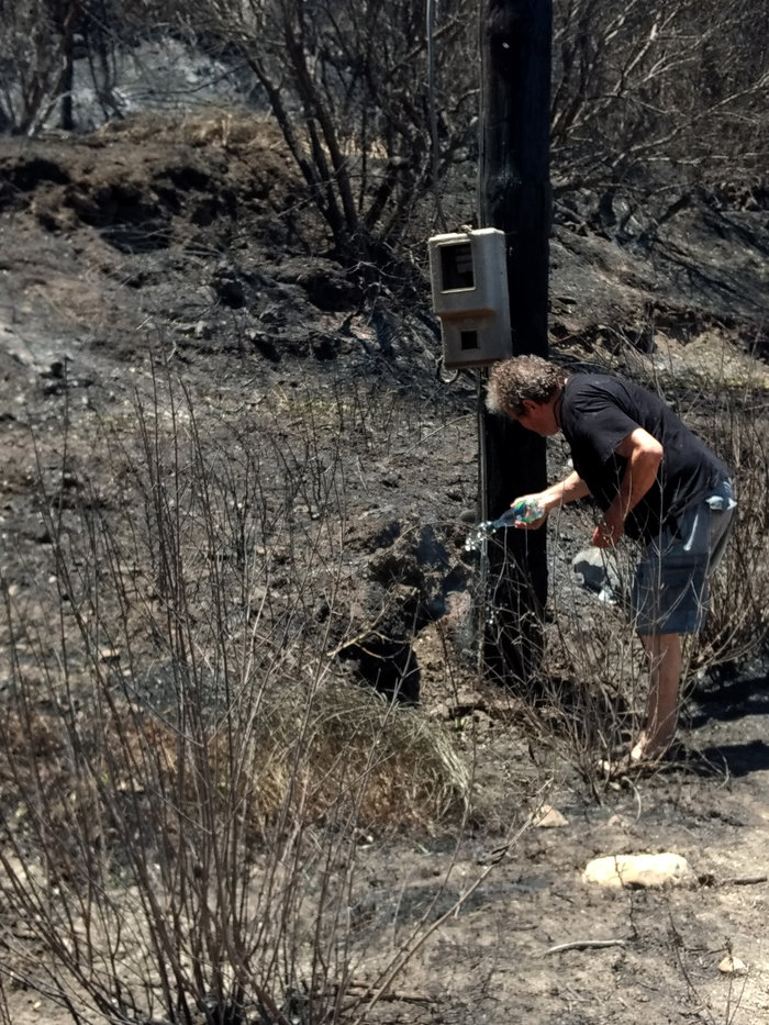 Νέα πύρινα μέτωπα σε όλη τη χώρα - Αρχισε η καταγραφή των ζημιών - εικόνα 3