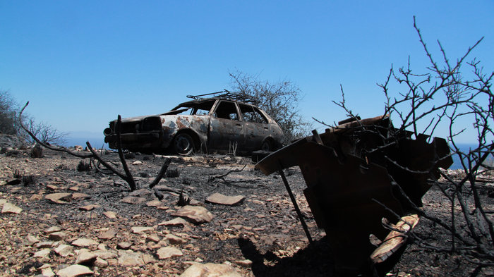 Νέα πύρινα μέτωπα σε όλη τη χώρα - Αρχισε η καταγραφή των ζημιών - εικόνα 5