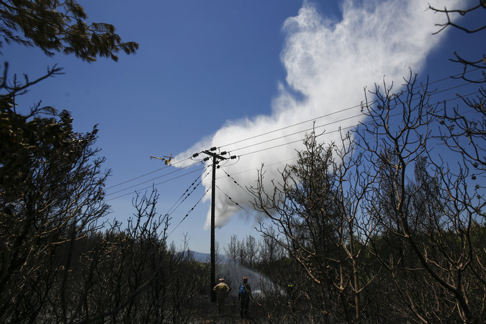 Μεγάλη φωτιά σε δασική έκταση στο Κρυονέρι (ΦΩΤΟ) - εικόνα 2