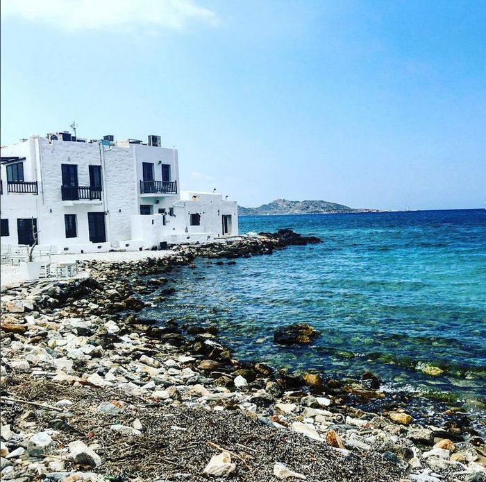 Το εκπληκτικό Art Cafe της Σοφίας Αλιμπέρτη στην Πάρο - Η νέα ζωή της - εικόνα 8