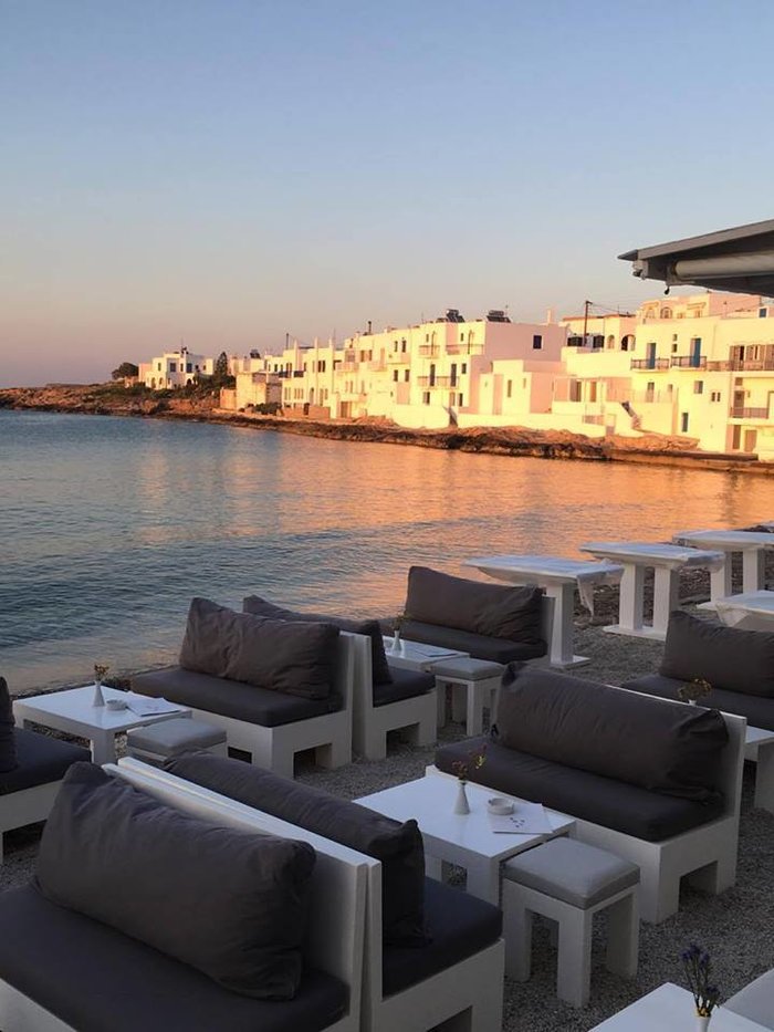 Το εκπληκτικό Art Cafe της Σοφίας Αλιμπέρτη στην Πάρο - Η νέα ζωή της - εικόνα 14