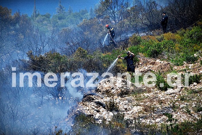Σε ύφεση οι μεγάλες πυρκαγιές στη Ζάκυνθο - εικόνα 2