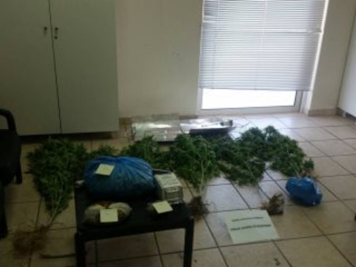 Με τα δενδρύλλια κάνναβης από τη Ζηρού στο Τμήμα Ασφαλείας Πρέβεζας - εικόνα 3