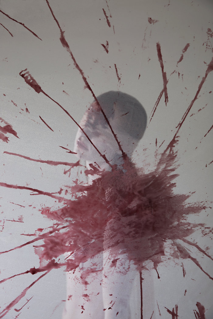 Ενας τολμηρός Ορφέας στο Μέγαρο Μουσικής - εικόνα 5