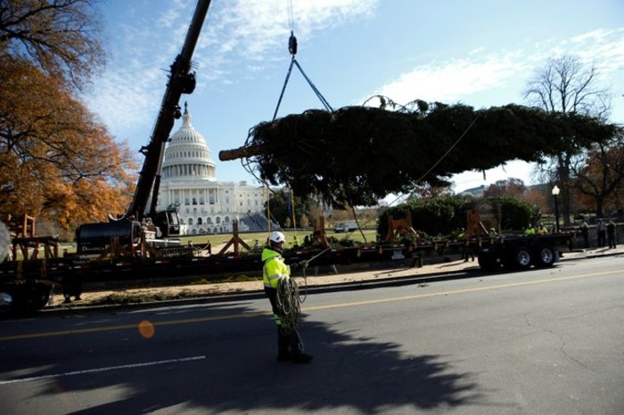 «Xιονάτη» η Μελάνια στον χριστουγεννιάτικο Λευκό Οίκο - εικόνα 11