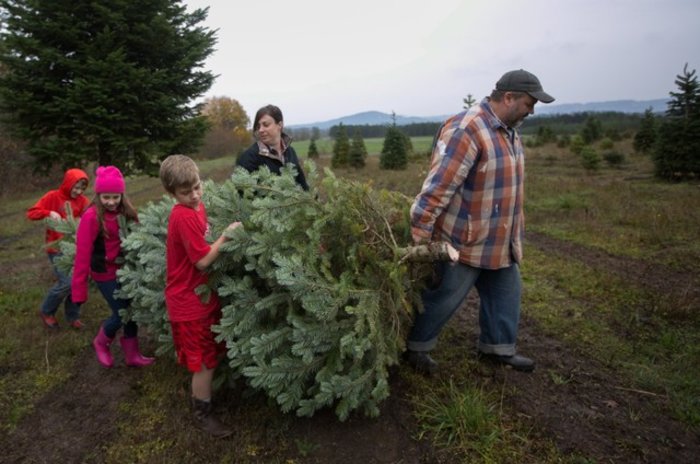 Χριστουγεννιάτικα στιγμιότυπα από τον κόσμο ένα μήνα πριν - Εικόνες - εικόνα 13