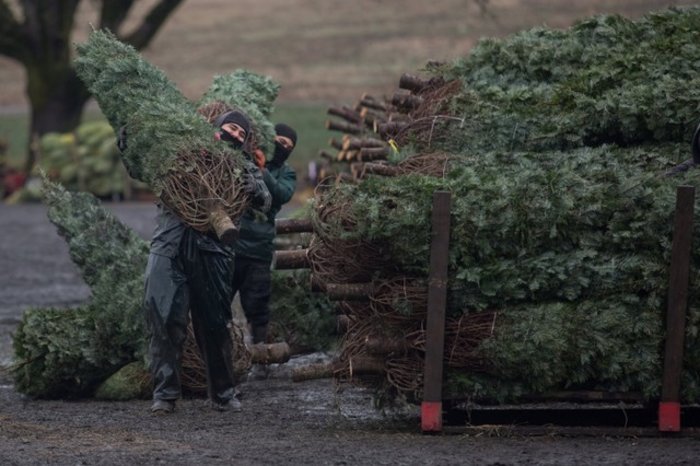 Χριστουγεννιάτικα στιγμιότυπα από τον κόσμο ένα μήνα πριν - Εικόνες - εικόνα 16